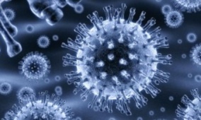 Что такое ротавирусная инфекция? Профилактика ротавирусной инфекции.